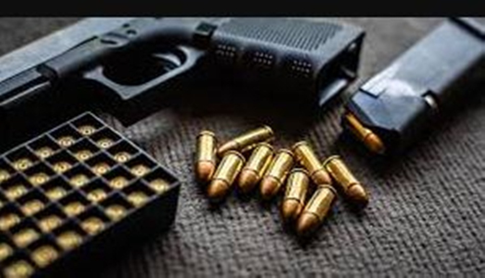 Temuan  Senjata Api (F:ilustrasi)