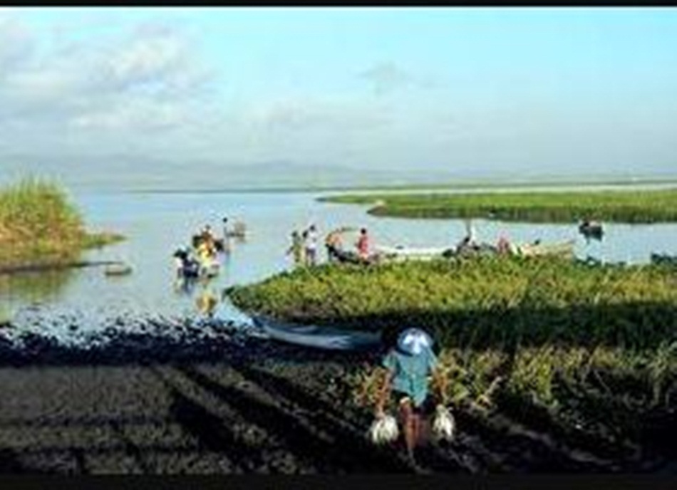 kondisi danau limboto yang terus menerus mengalami penyusutan (F:ist)
