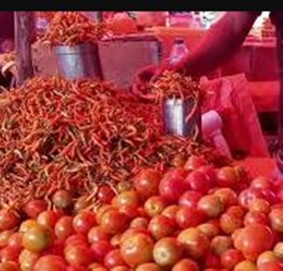 Tomat dan cabe penyebab inflasi di Gorontalo (F:istimewa)