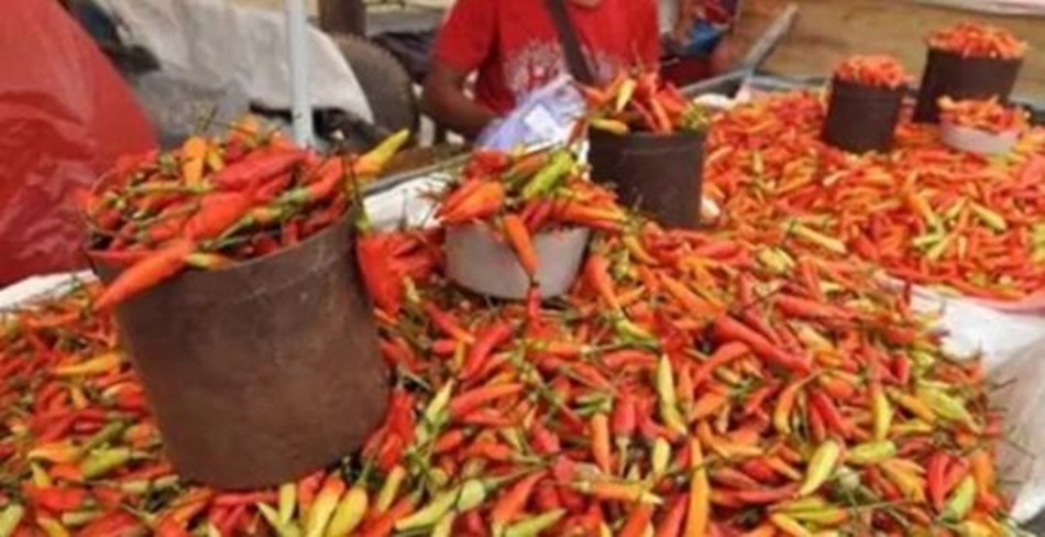 Harga Cabe Rawit melonjak di  di pasar tradisional  Gorontalo.(F:ist)