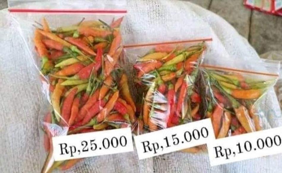 Postingan warganet tentang fenomena mahalnya harga cabe rawit atau rica di Gorontalo.(F:FB)