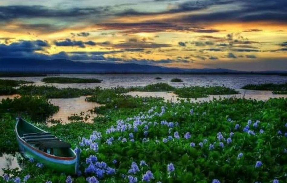 Kondisi danau Limboto (F:ist)