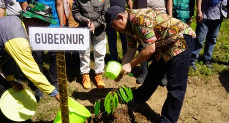Penjagub Gorontalo Ismail Pakaya saat melakukan penanaman pohon durian di Desa   Tulabolo Timur, Kecamatan Suwawa Timur, Kabupaten Bone Bolango sebagai kampung  durian. (Foto &ndash; Valen)