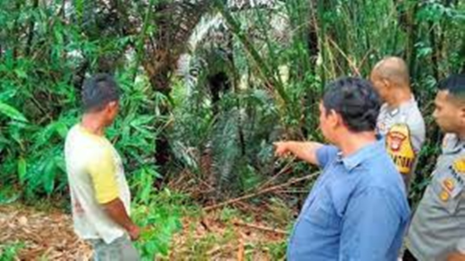 lokasi penemuan bayi dalam tas (F;ist)