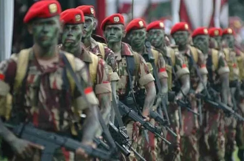 Ilustrasi TNI