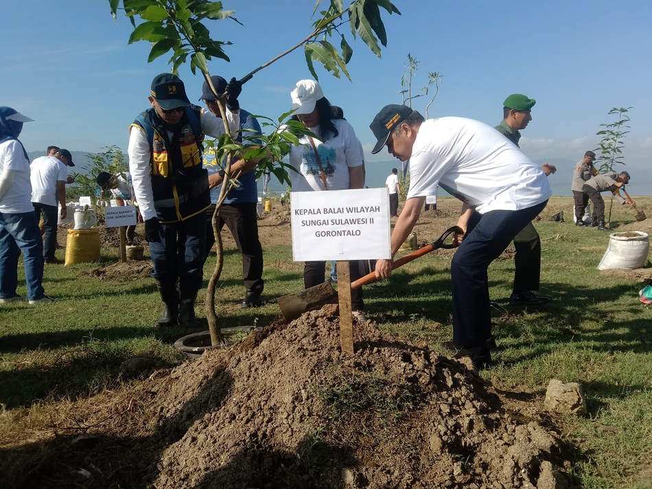 Aksi tanam  pohon endemik di lokasi danau Limboto Kecamatan Telaga Kabupaten   Gorontalo oleh Kepala BWS Sulawesi II Gorontalo Parlinggoman Simanungkalit .(F:GPD)