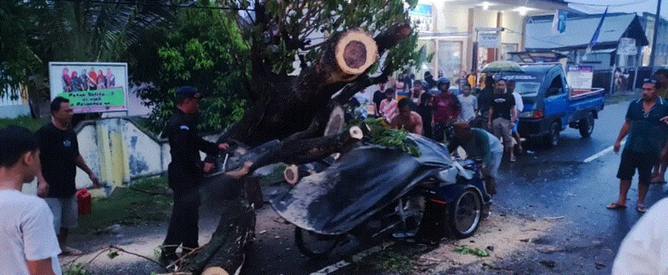 Suasana evakuasi serta kondisi bentor yang ringsek akibat dihantam pohon tumbang (F:FB)