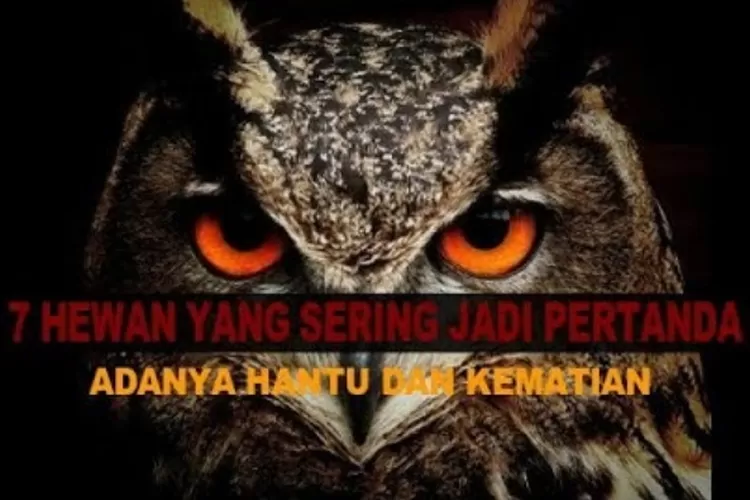 Ilustrasi - Tangkapan Layar YouTube Lembar Cerita