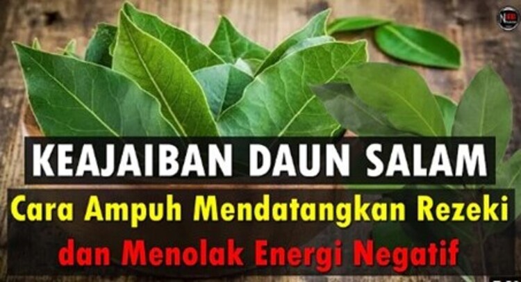 ilustrasi - Keajaiban daun salam