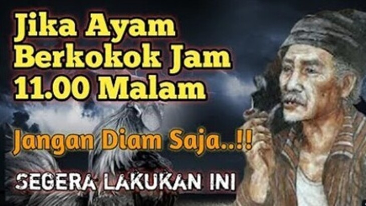ilustrasi - Punya Arti Penting, tanda ayam berkokok jam 11 malam