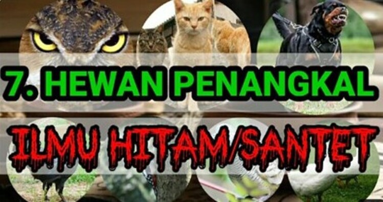 Ilustrasi - 7 Hewan penangkal ilmu hitam