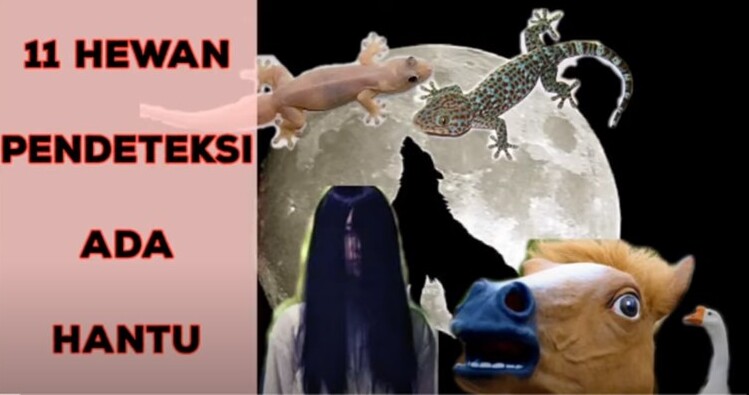 Ilustrasi - 11 Hewan pendeteksi hantu