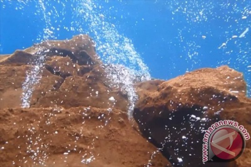 Laut Sangihe