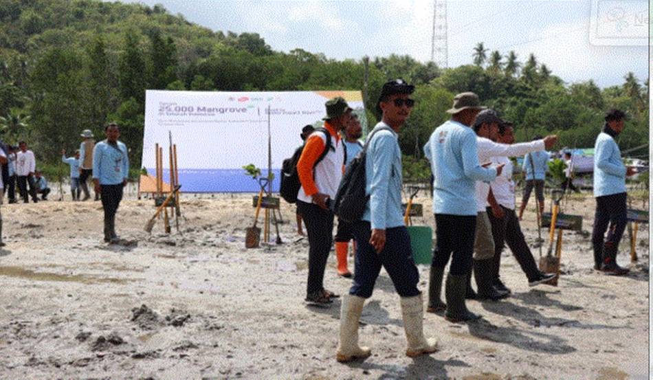 BPDAS Bone Bolango Provinsi Gorontalo Kembali melaksanakan penanaman   Manggrove yang dipusatkan di Desa Boru Boluo Kecamatan Biluhu, Kabupaten Gorontalo, Provinsi Gorontalo. (F:humas BPDAS)