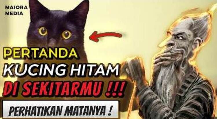 Ilustrasi - Kucing Hitam