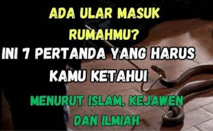 Ilustrasi -