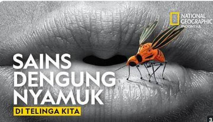Ilustrasi -  Terungkap! Mengapa Nyamuk Suka Berdengung di Telinga Kita