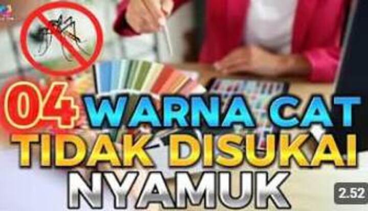 4 Warna Cat Rumah Ini Ampuh Mengusir Nyamuk