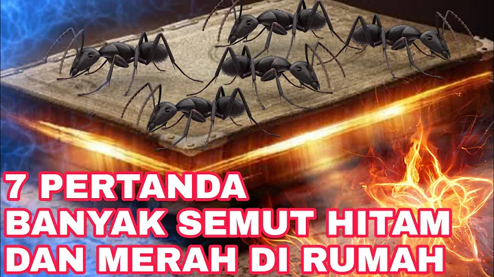 Ilustrasi - 7 Pertanda Banyak Semut di Rumah Menurut Primbon Jawa