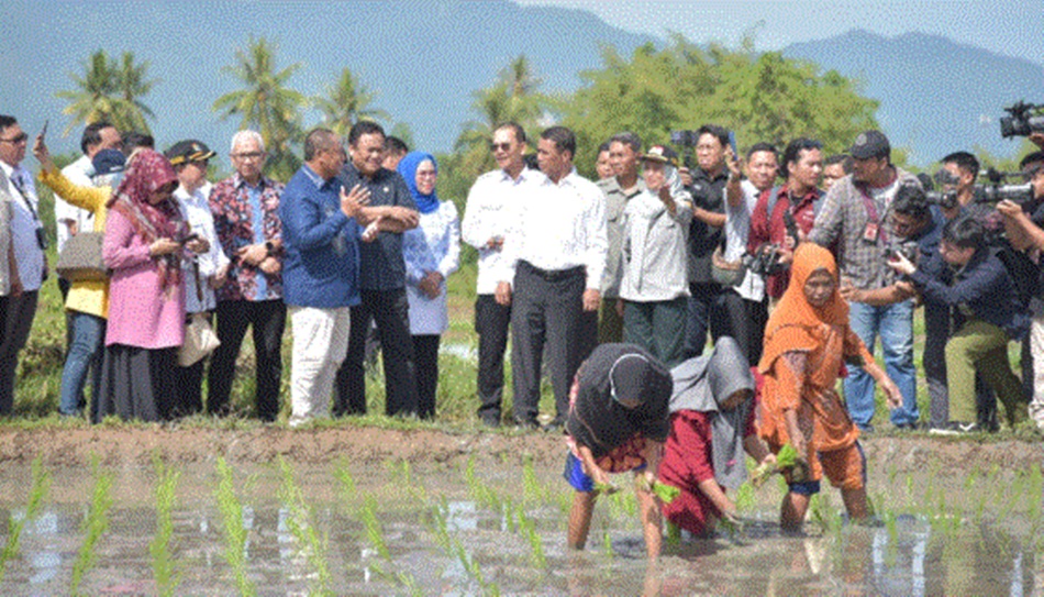 Mentan  RI Andi Amran Sulaiman saat melihat dari dekat program   Perluasan Areal Tanam (PAT) pompanisasi dan penanaman padi di Desa Tunggulo,  Kecamatan Tilongkabila, Bone Bolango. (Foto: Andhika)