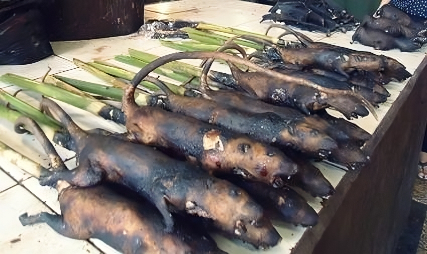 Kawok