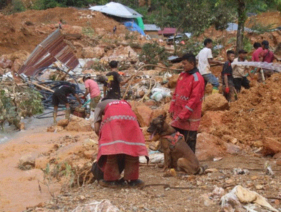 evakuasi korban longsor di lokasi longsor tambang   Suwawa, Kabupaten Bone Bolango, Samapta Polda Gorontalo gunakan anjing pelacak (F:hms-pol)