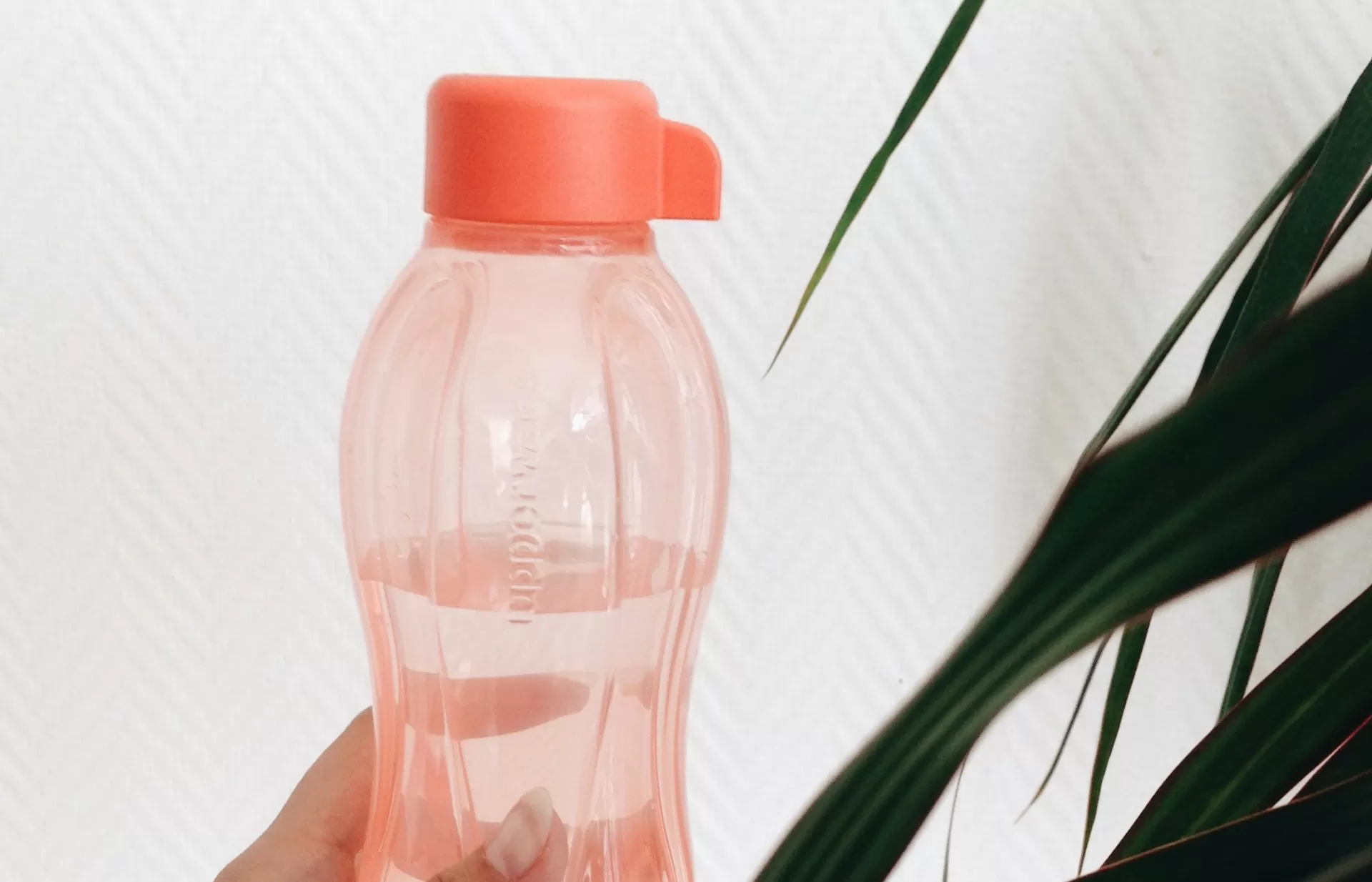 Cara mencuci botol minum Tupperware (unsplash/Estera)