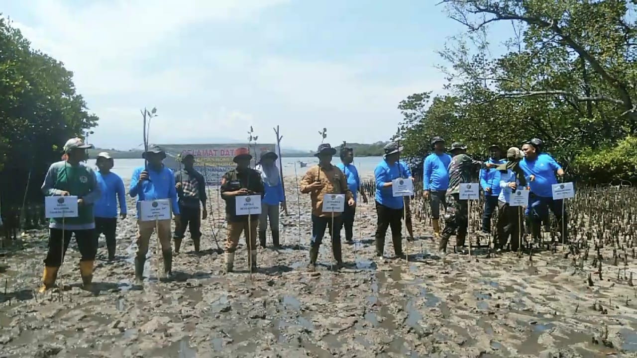 Penanaman Mangrove di desa PopCall kecamatan anggrek Kabupaten Gorontalo utara
