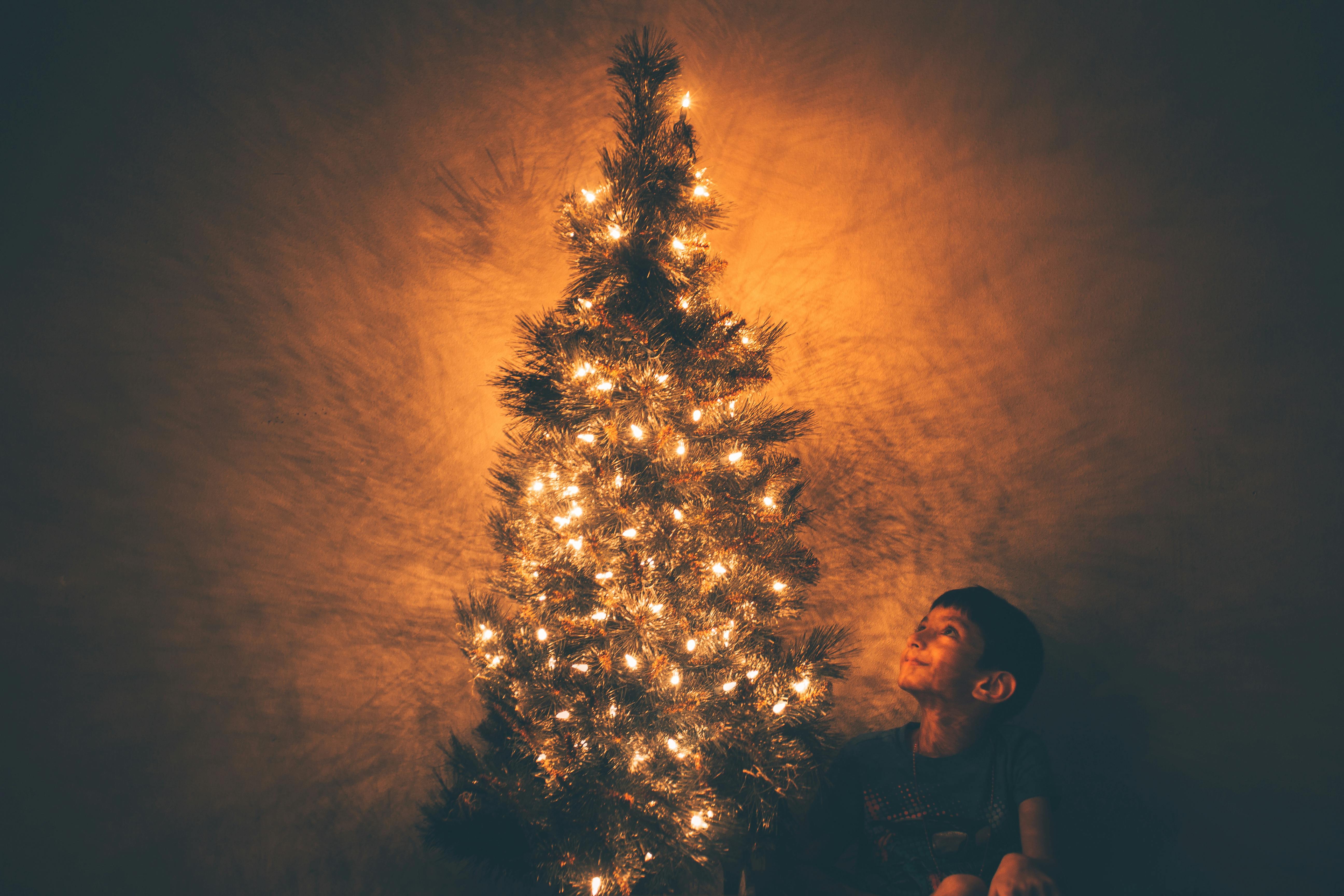 pohon natal dan seorang anak kecil
