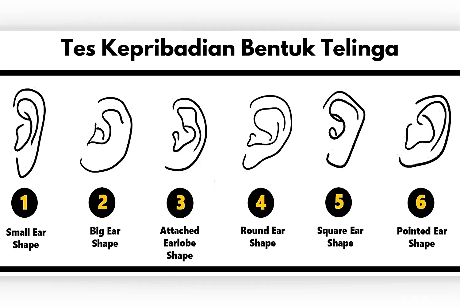 Tes kepribadian bentuk telinga: 6 rahasia sifat asli (Jagranjosh.com)