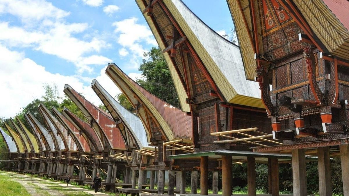 beberapa rumah adat tongkonan