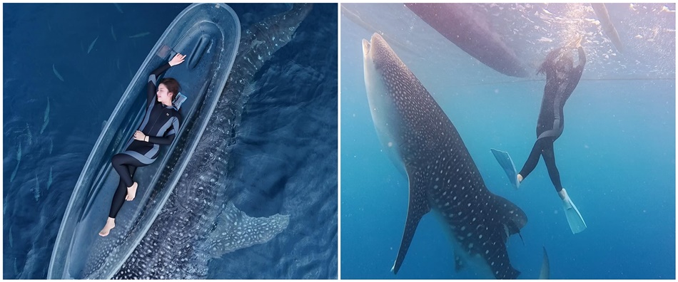 Tiara Andini di Gorontalo, Berfoto dengan Hiu Paus, Wisata Botubarani. (F:Instagram)