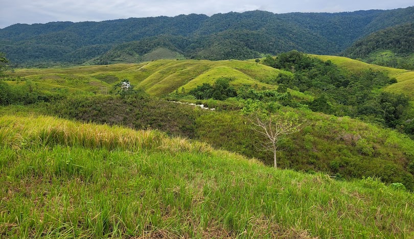 pemandagan di bukit teletubbies