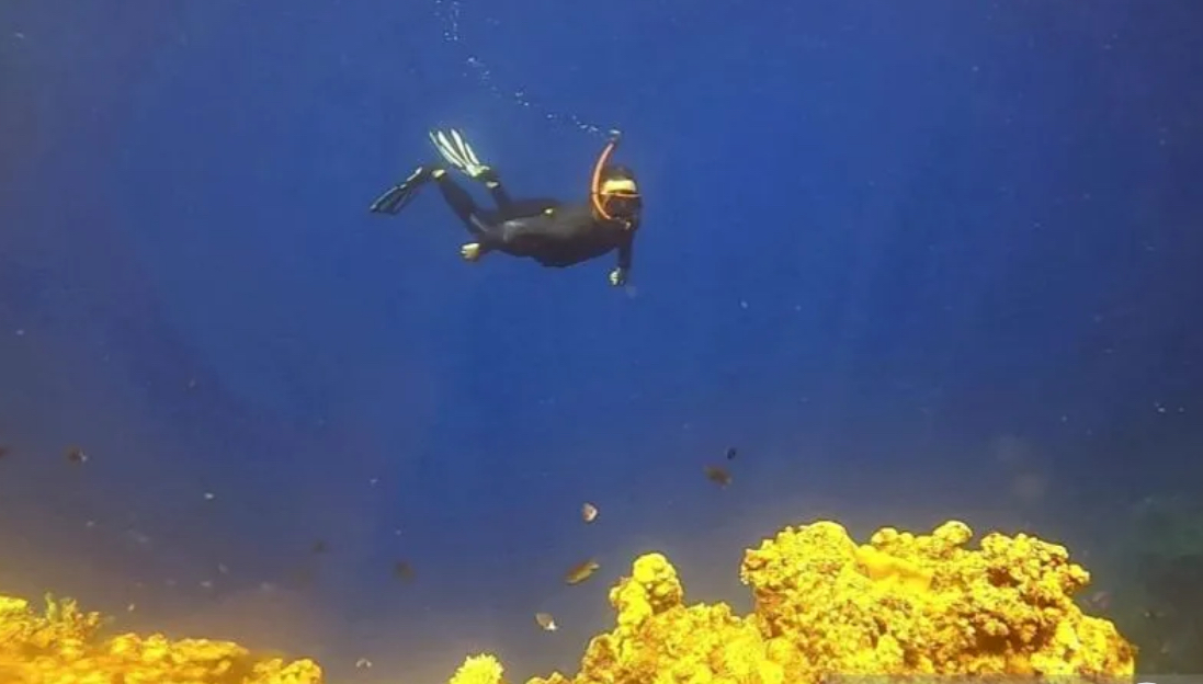 Oluhuta Paradise di Bone Bolango menawarkan keindahan bawah laut