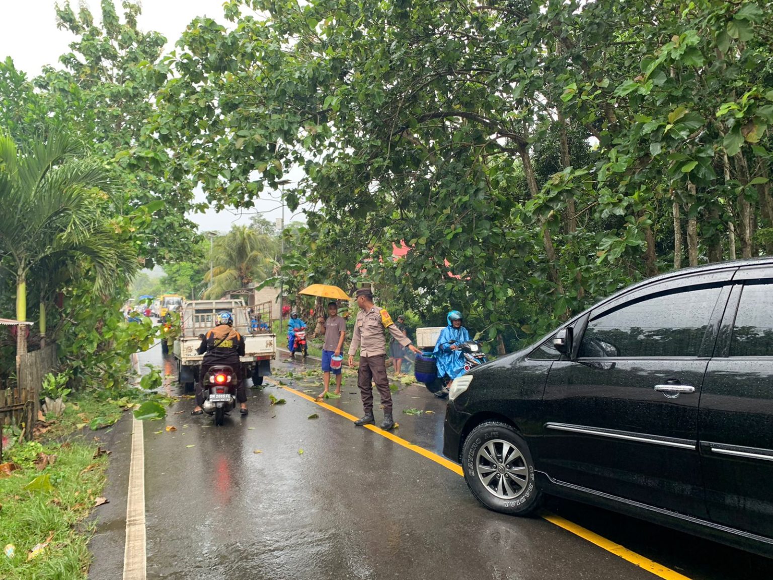 Pohon tumbang di jalur utama trans Sulawesi, Desa Labanu Kecamatan Tibawa Kabupaten Gorontalo.