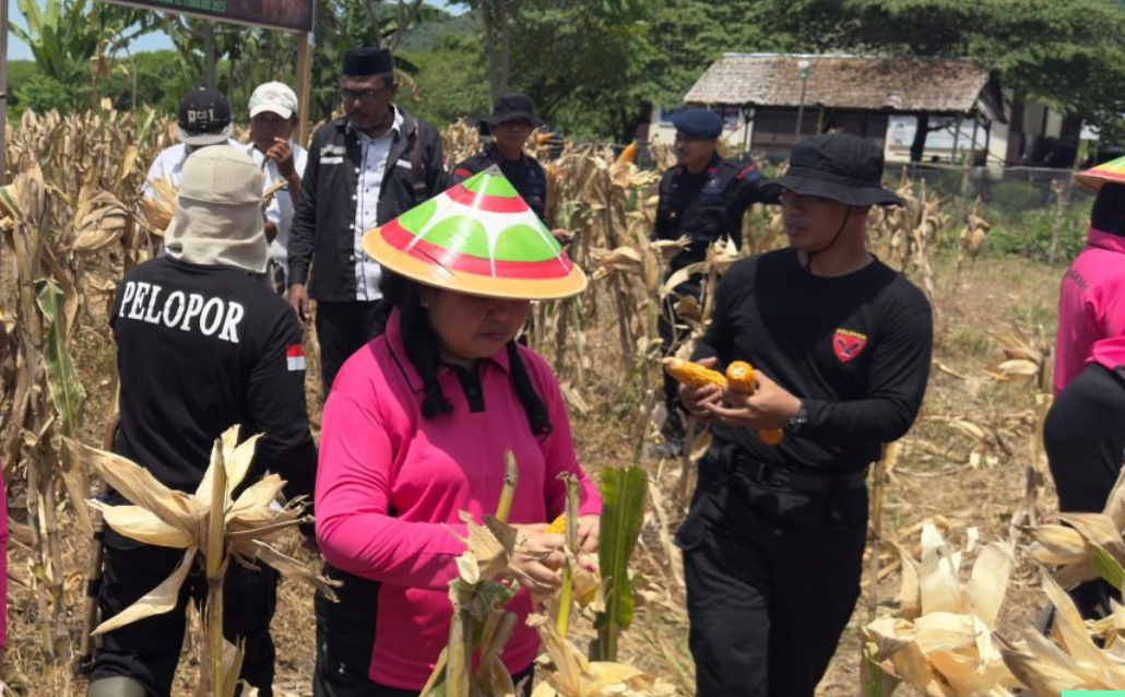Personel Batalyon B Pelopor Satbrimob Polda Gorontalo bersama Dinas Pertanian. (Tribratanews Gorontalo)