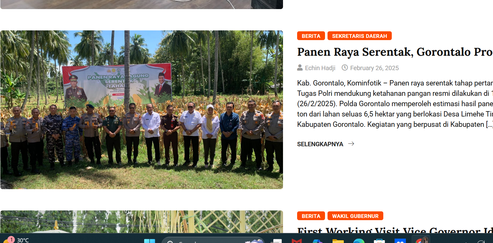 Panen Raya Agung Serentak. (beritagorontaloprov)
