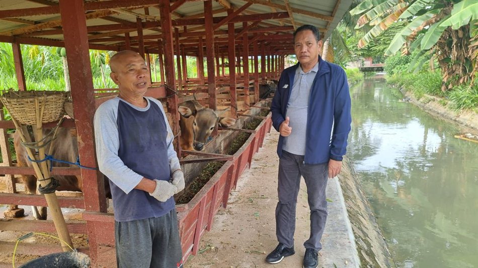 Wakil DPRD provinsi Gorontalo berkunjung ke peternakan sapi Sipatana (F:humas)
