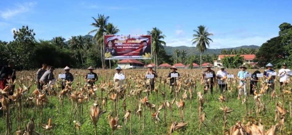 Kegiatan panen jagung yang dihadiri oleh Bupati Bone Bolango Ismet Mile dan jajaran Forkopimda.(F:hms-Pol)