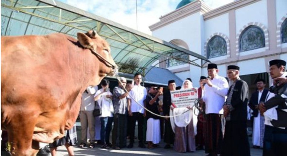 Gubernur serahkan  sapi kurban bantuan Presiden Prabowo di Mesjid Baiturahim Kota Gorontalo. (F:Ist)