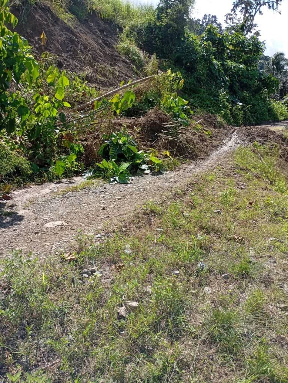 Kondisi jalan longsor yang terjadi di Desa Desa Tangga Barito, Kecamatan Dulupi, Kabupaten Boalemo.(F:ist)