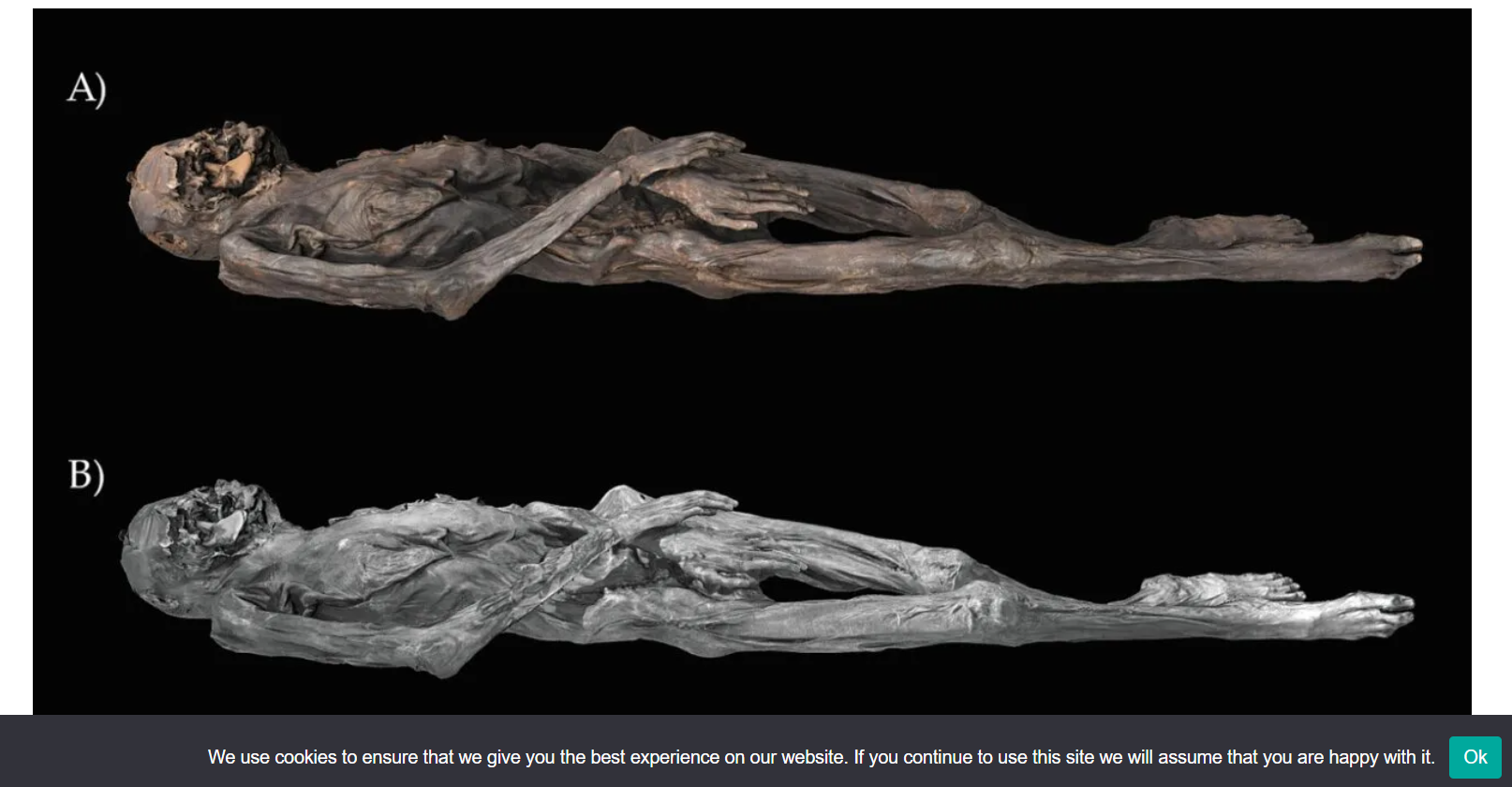 Mummy versi 3D. Credit: M. Vavulin