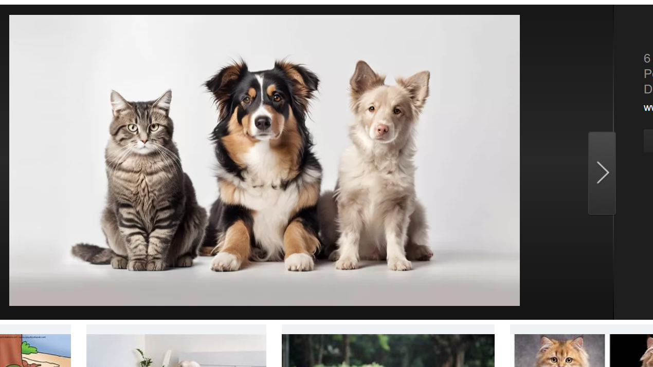 ilustrasi foto