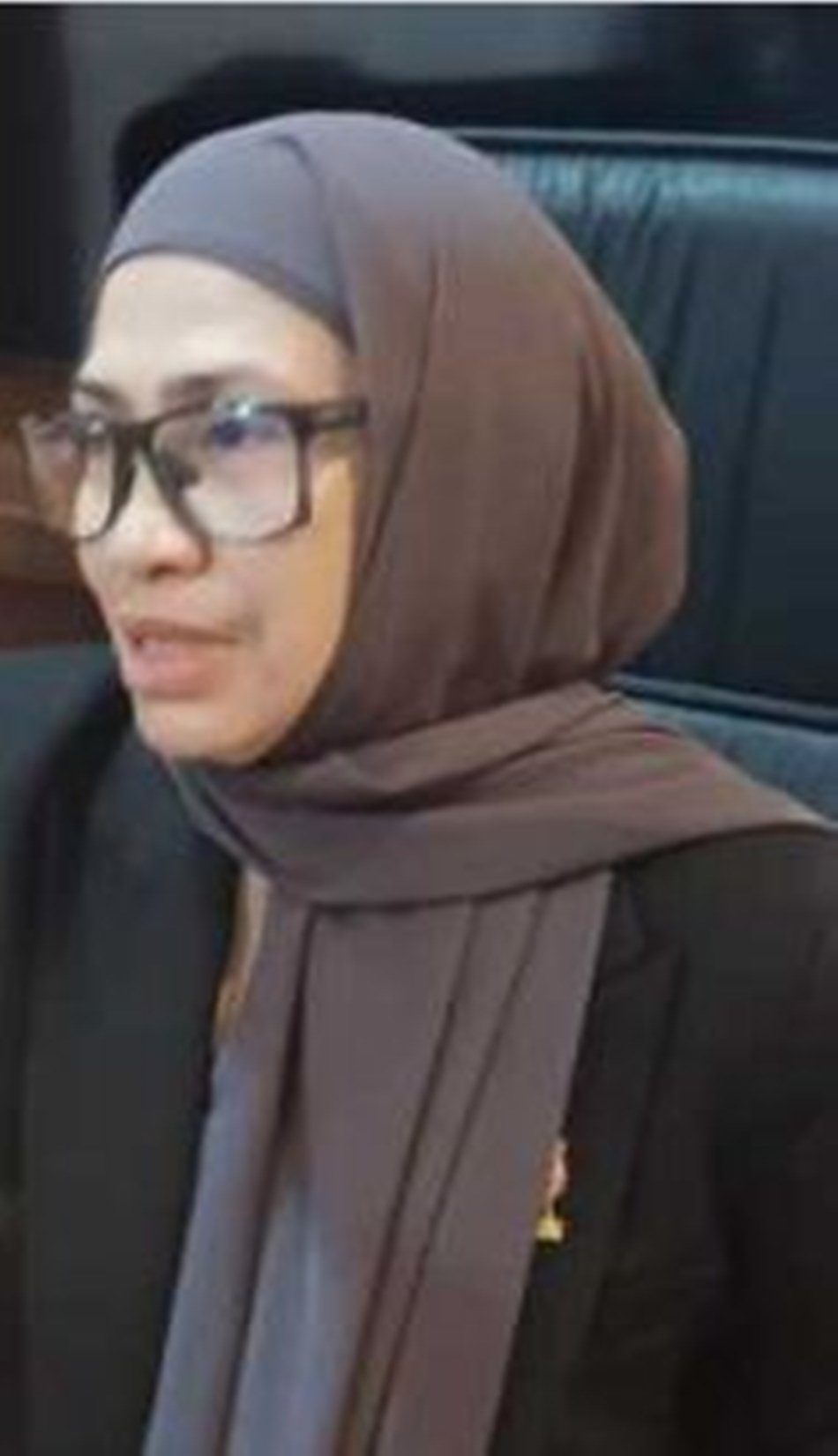 Wakil Ketua Komisi II, Meyke Camaru.(F:;Ist)