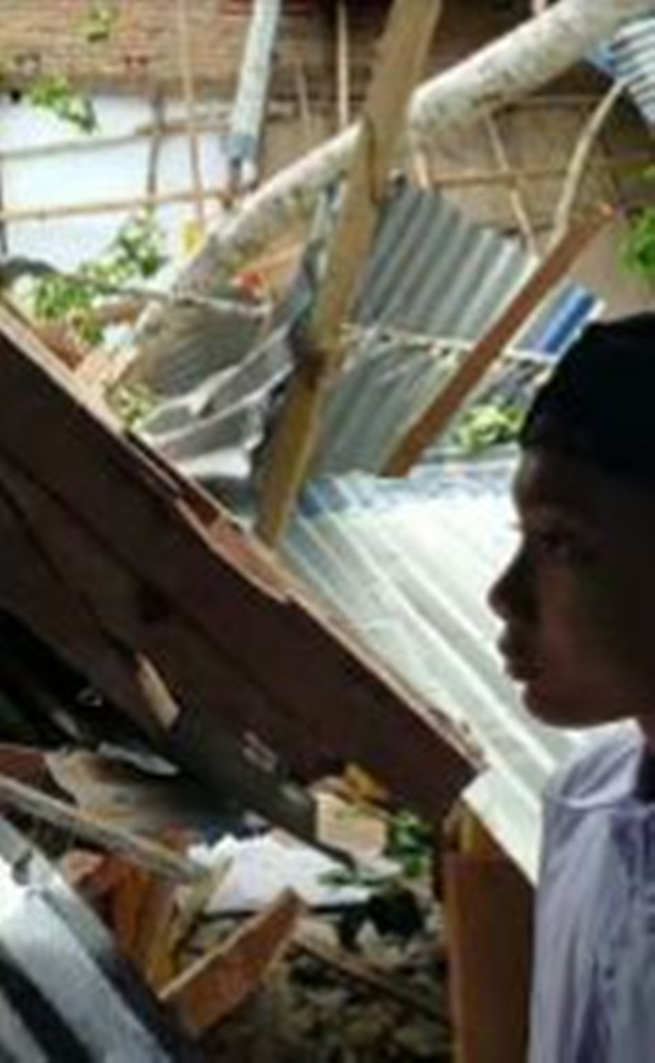 kondisi SMPN 1 Tilango usai sebuah pohon besar di belakang sekolah tumbang.(F:Ist)