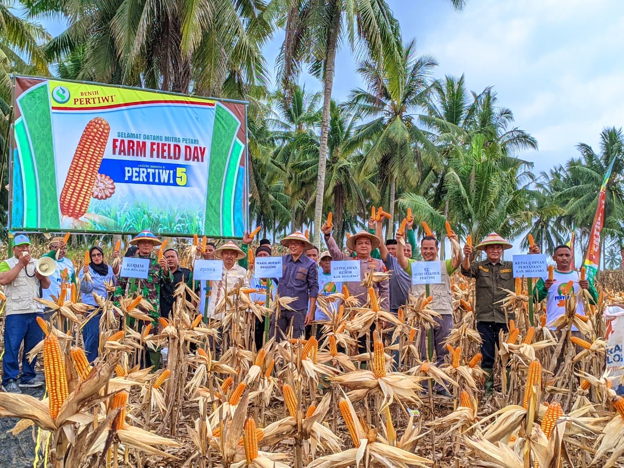 Boalemo Panen Raya Jagung, Bukti Nyata Dukungan untuk Ketahanan Pangan Nasional