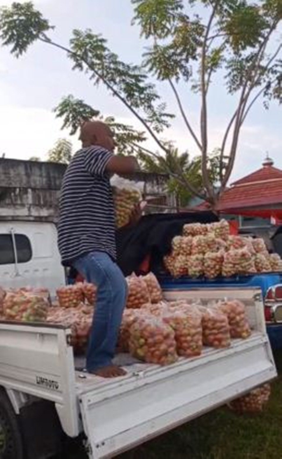 pedagang itu terlihat menghamburkan tomat ke jalanan sebagai bentuk protes  karena harga jual yang anjlok di pasaran.(F:Ist)
