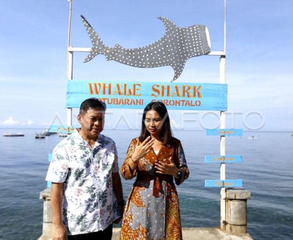 Wakil  Menteri Pariwisata, Ni Luh Puspa Saat  turun langsung meninjau objek wisata Hiu Paus di Desa  Botubarani, Kabupaten Bone Bolango.(F:Adi/Antara)
