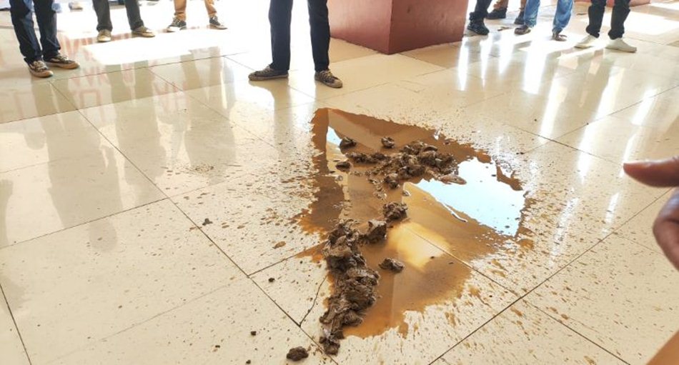 Puluhan mahasiswa  yang tergabung dalam HMI melempari gedung Kantor Bupati Pohuwato dengan  lumpur.(F:Ist)