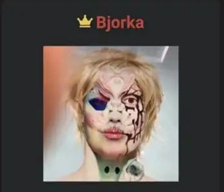 Hacker Bjorka Akhirnya Diciduk.(F:ist)